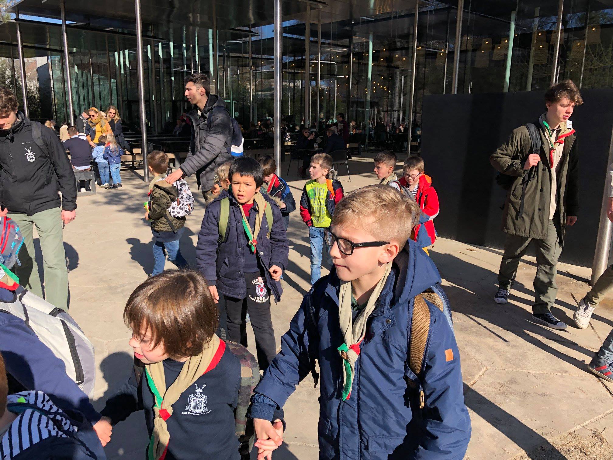 Sint-Martinus den XIIde - Zoo Antwerpen Kapoenen